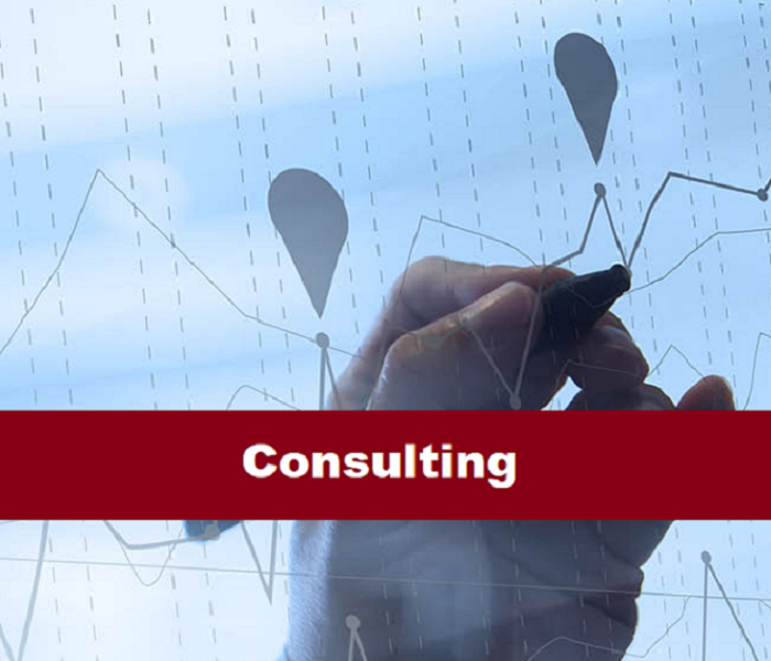 Consulting